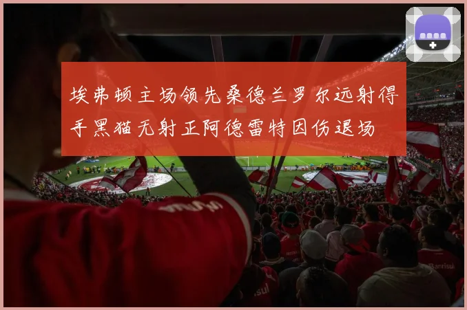 埃弗顿主场领先桑德兰罗尔远射得手黑猫无射正阿德雷特因伤退场